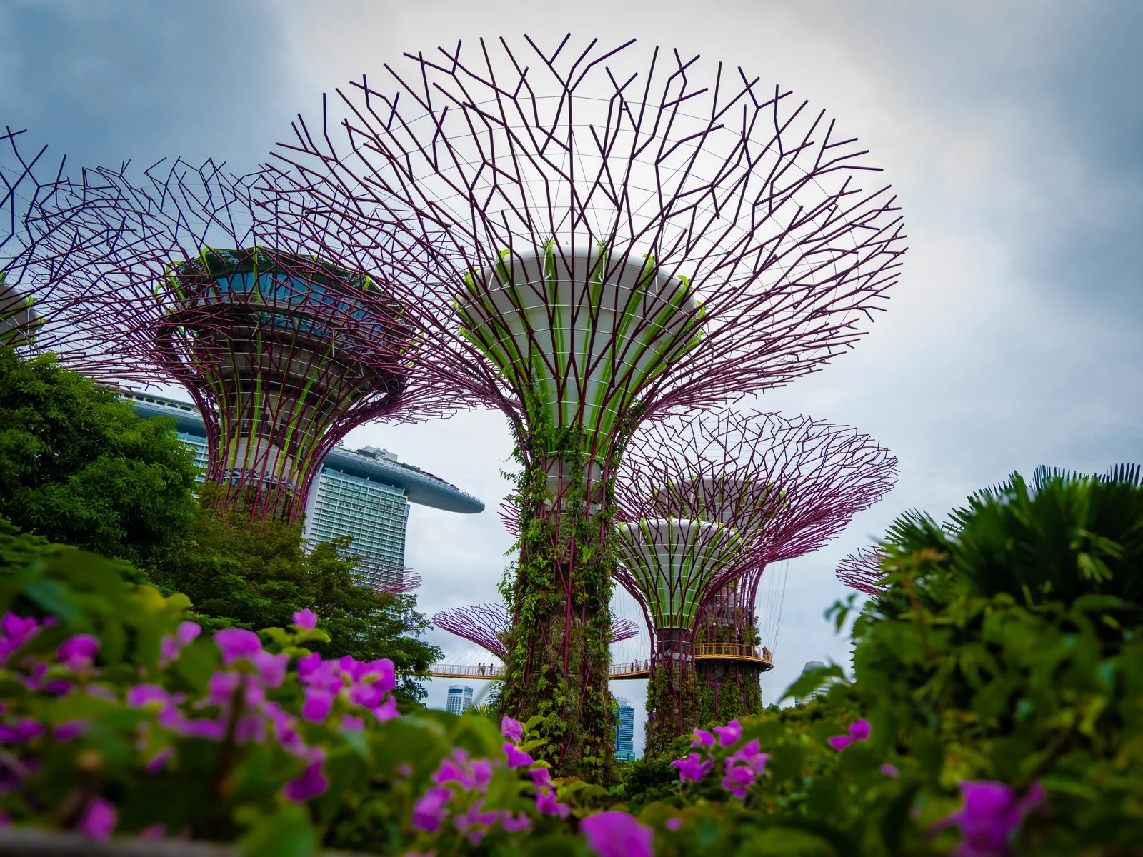Singapore's unique futuristic trees with large, umbrella-shaped canopies and purple and green structures in a garden setting, with flowers in the foreground and modern buildings in the background.