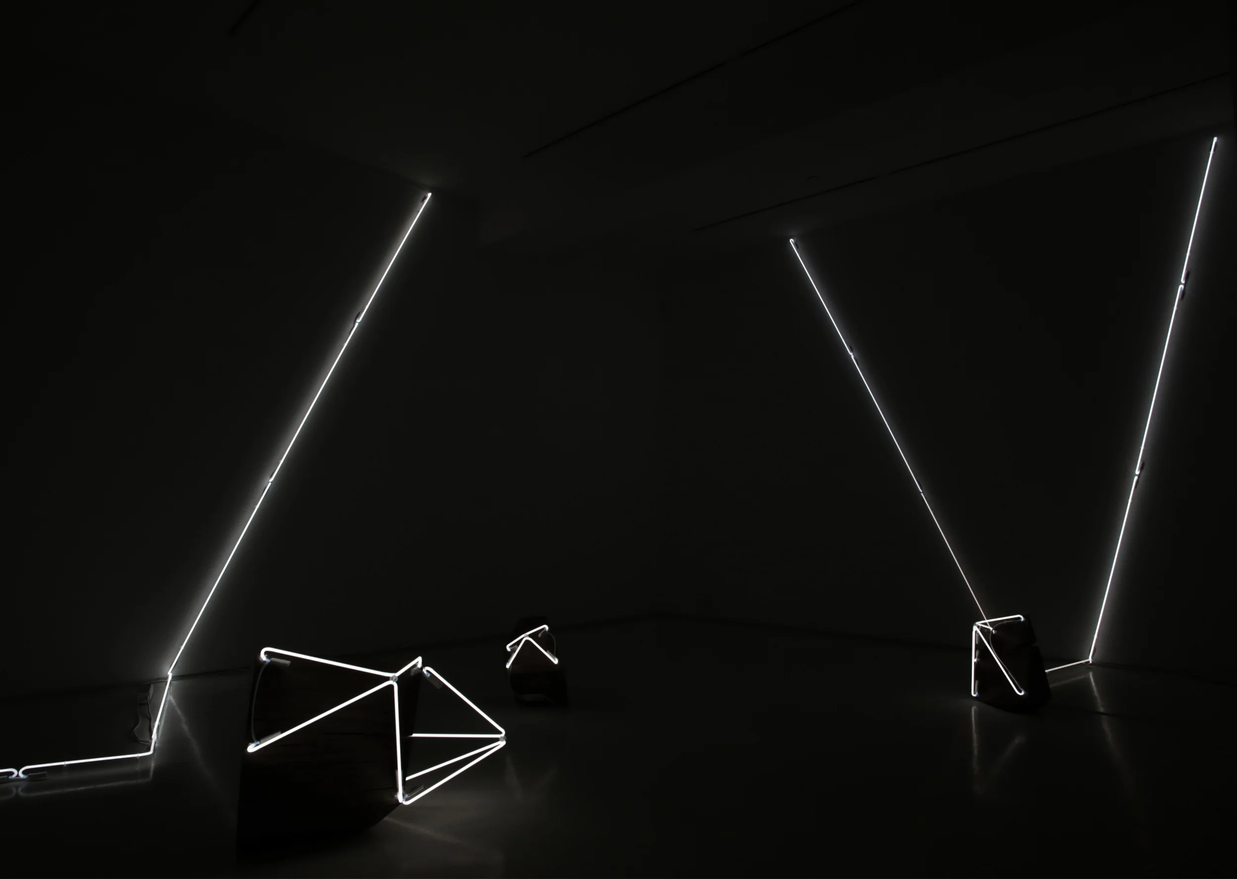 LemleyNeon5.jpg