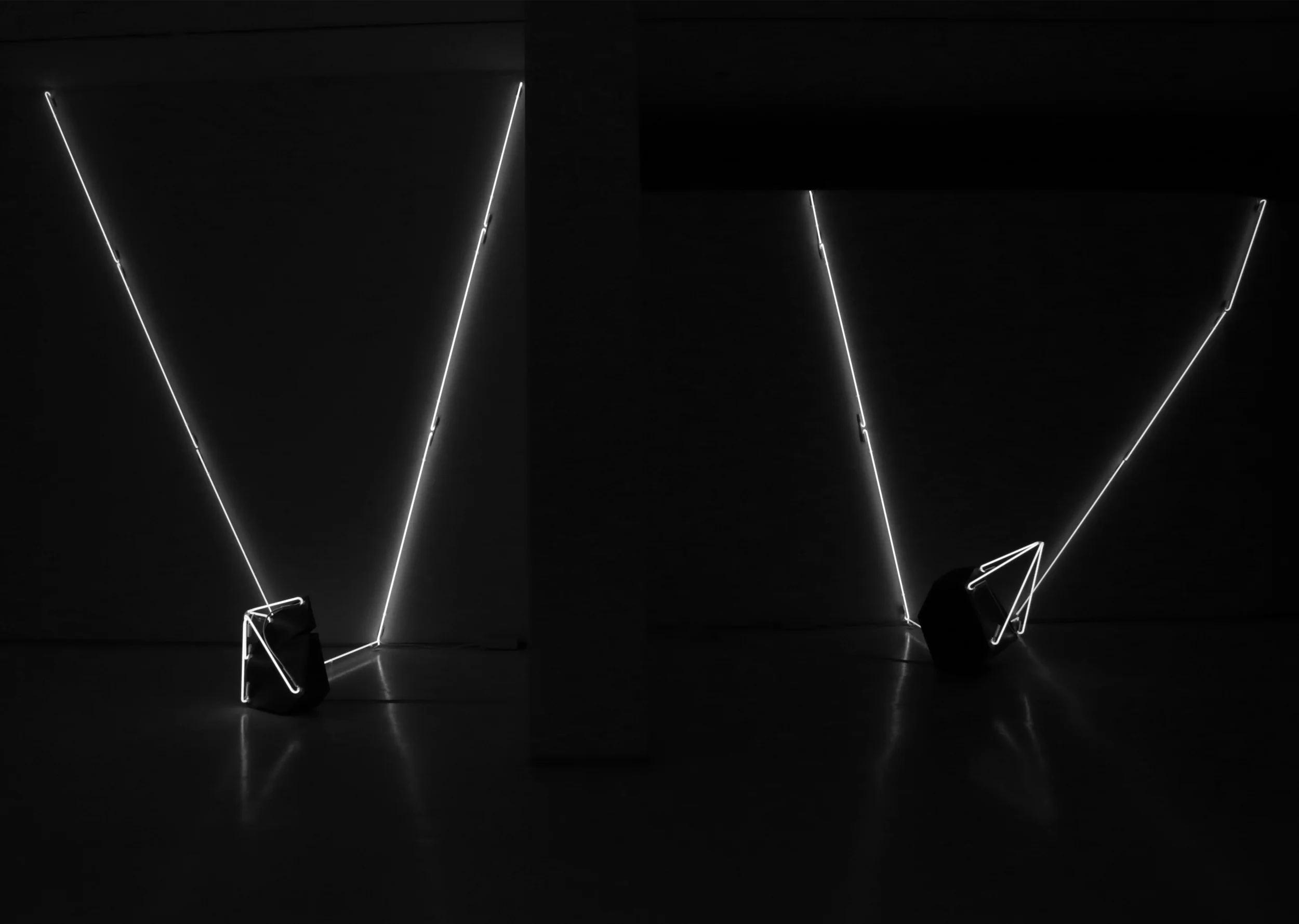 LemleyNeon6.jpg