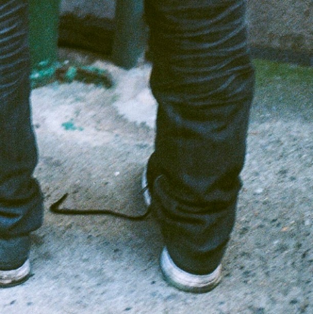1 of 6 |  #35mm #filmisnotdead #staybrokeshootfilm #nycspc #nycstreetphotography
