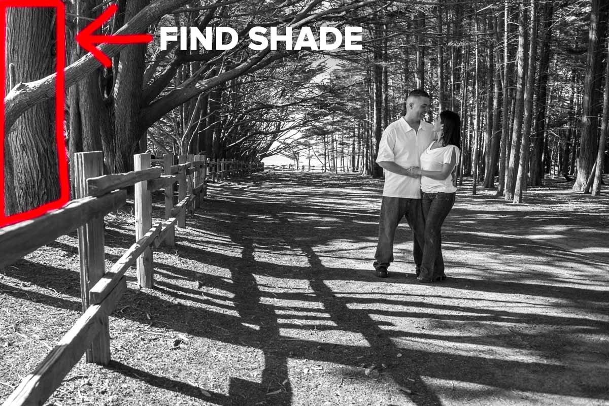 B&W LIGHT from the Smart Portrait Preset System