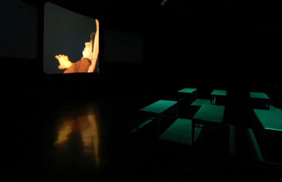 wilcox_installation_8 copy2.jpg