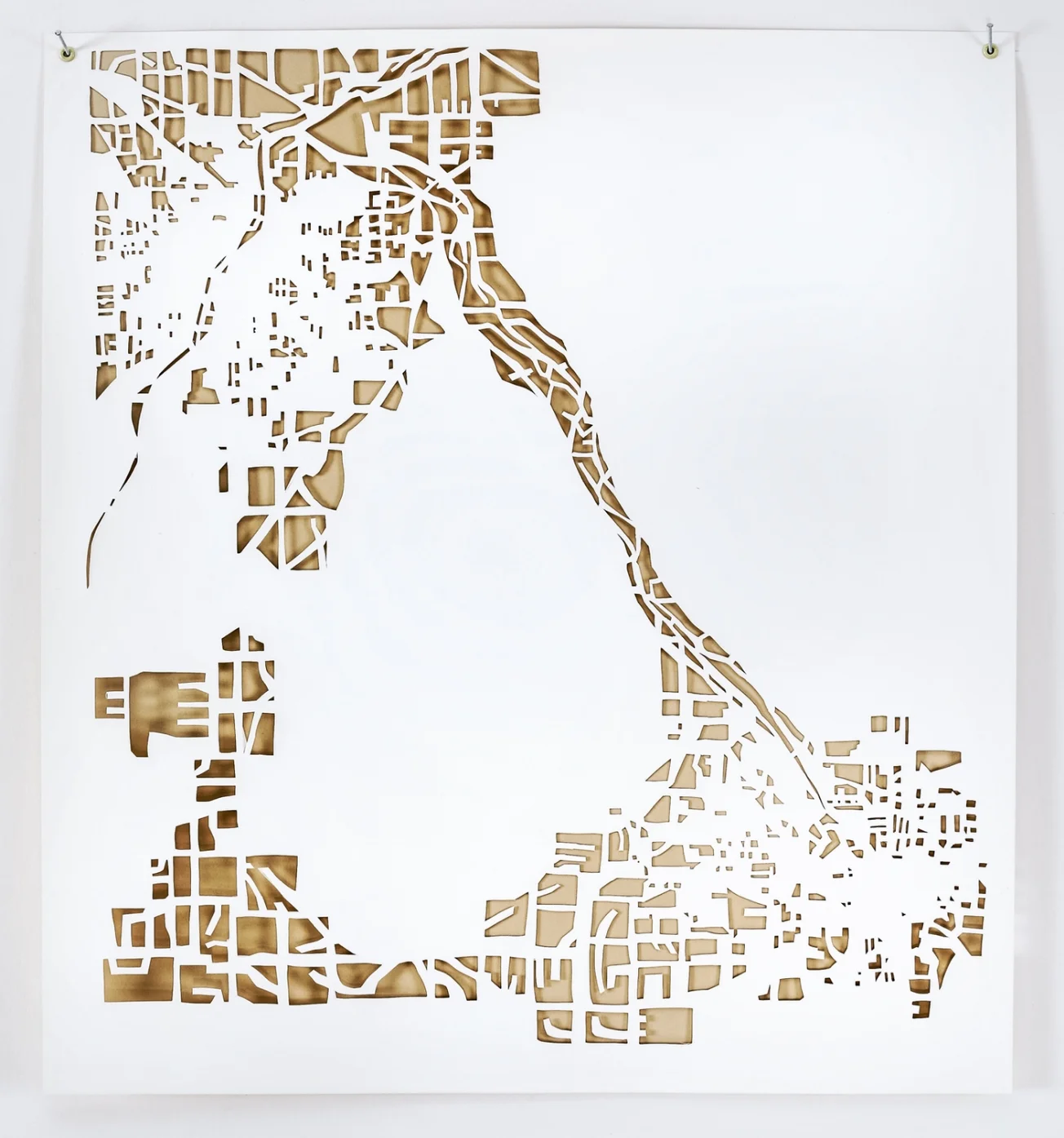 Sadie Wilcox. All rights reserved. 