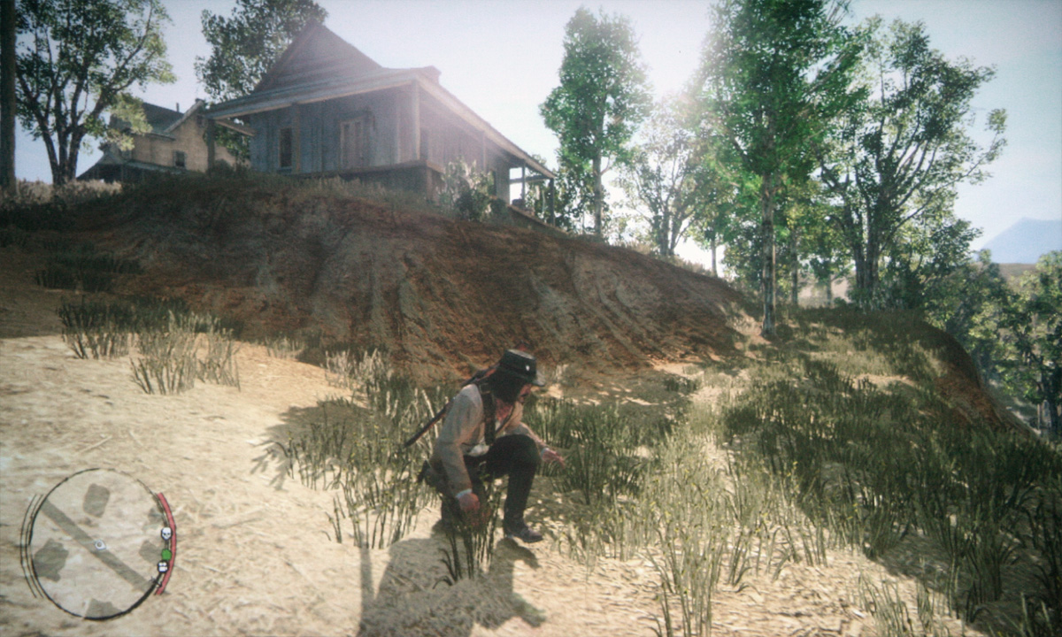 rdr_02.jpg