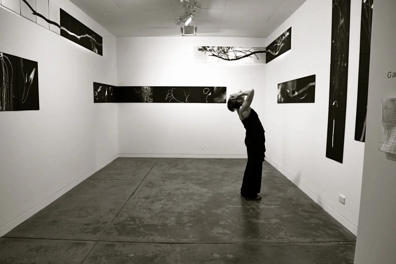 INSTALLATION @ GALLERYSMITH