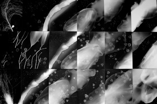 AtkinsPurdy DRIFT 1.jpeg