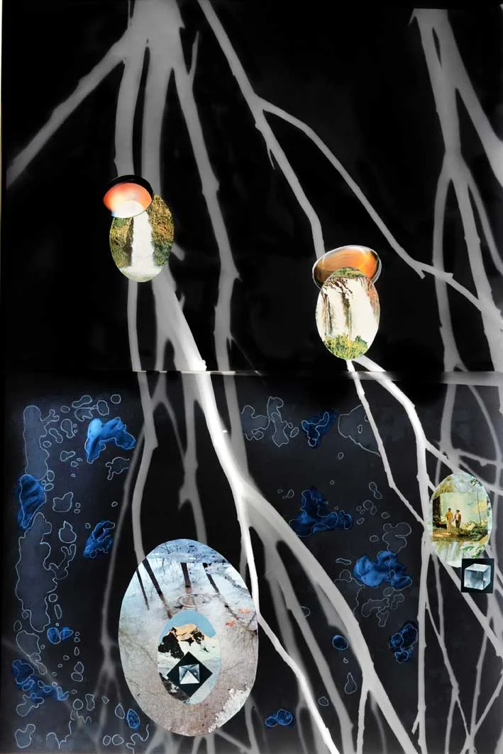 Tree of Life