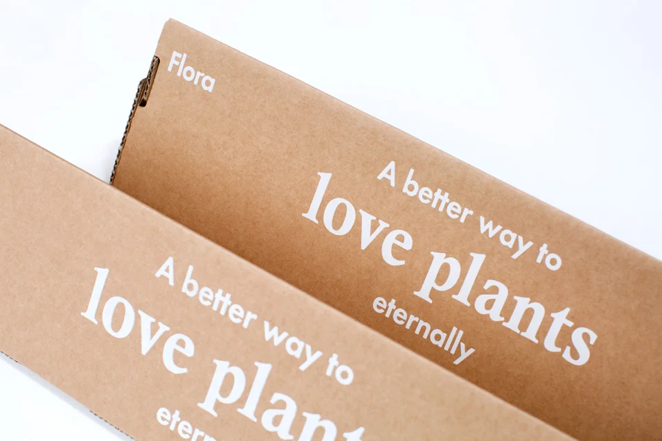 Embalatge dins del qual s'envien les plantes eternes.