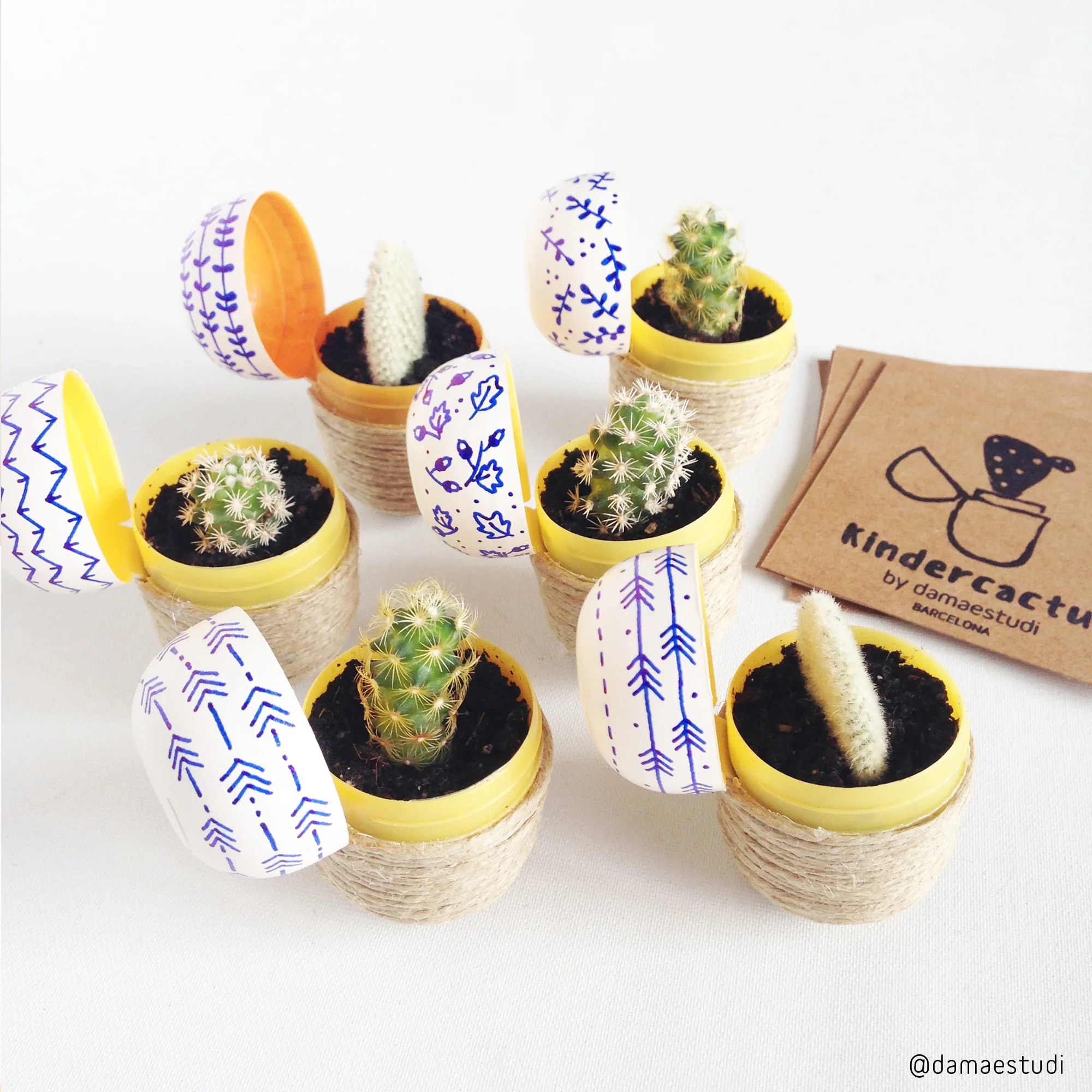 Proposta de la Laura Martinell per reutilitzar els ous Kinder. És un Kindercactus!