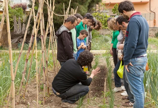 A l'hort del projecte EsBioesfera ensenyen ecologia urbana.