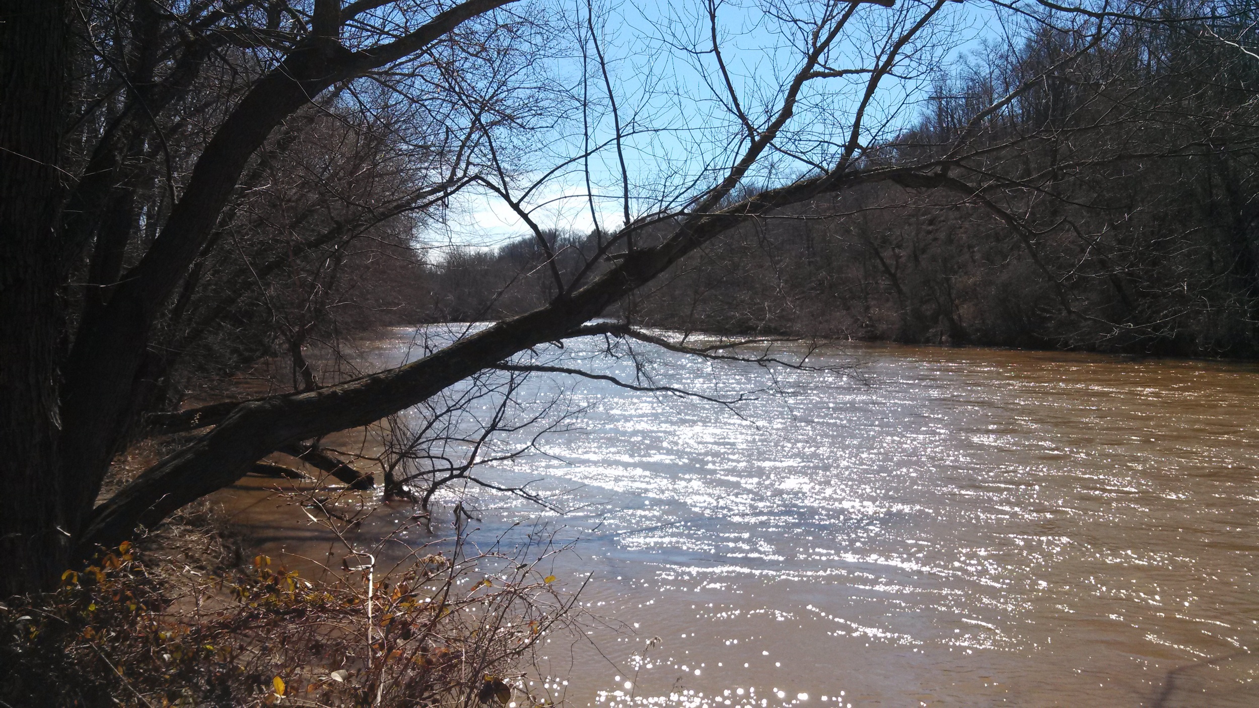 Water