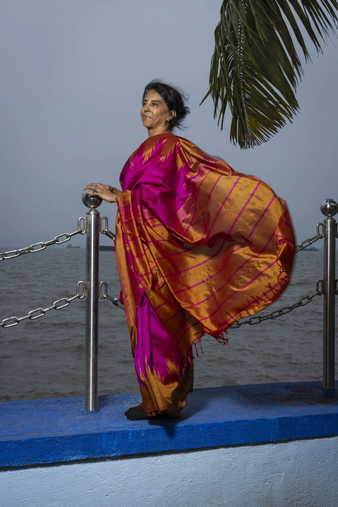 Malini Vijay Shankar, Vice Chancellor, Indian Maritime University