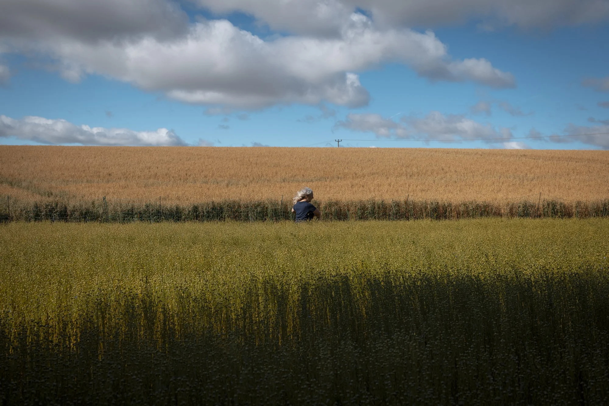 Flax_landtosea__THE HARVEST_© EMILIE SANDY 2026-2827.jpg