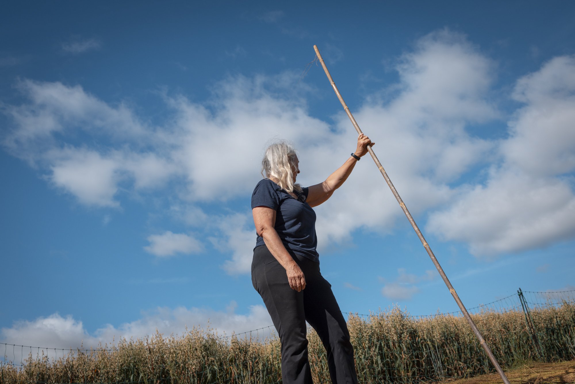 Flax_landtosea__THE HARVEST_© EMILIE SANDY 2026-2834.jpg
