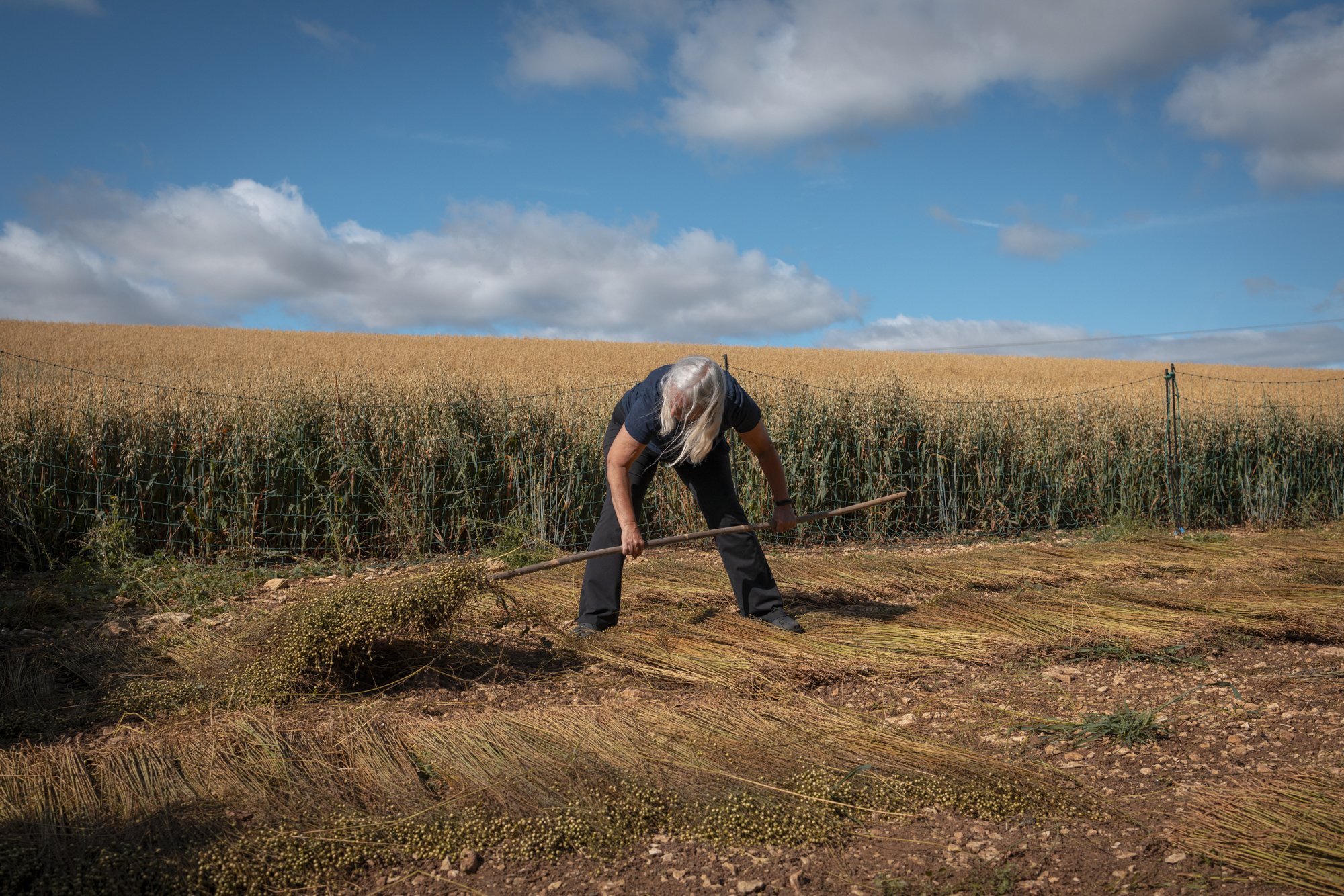 Flax_landtosea__THE HARVEST_© EMILIE SANDY 2026-2831.jpg