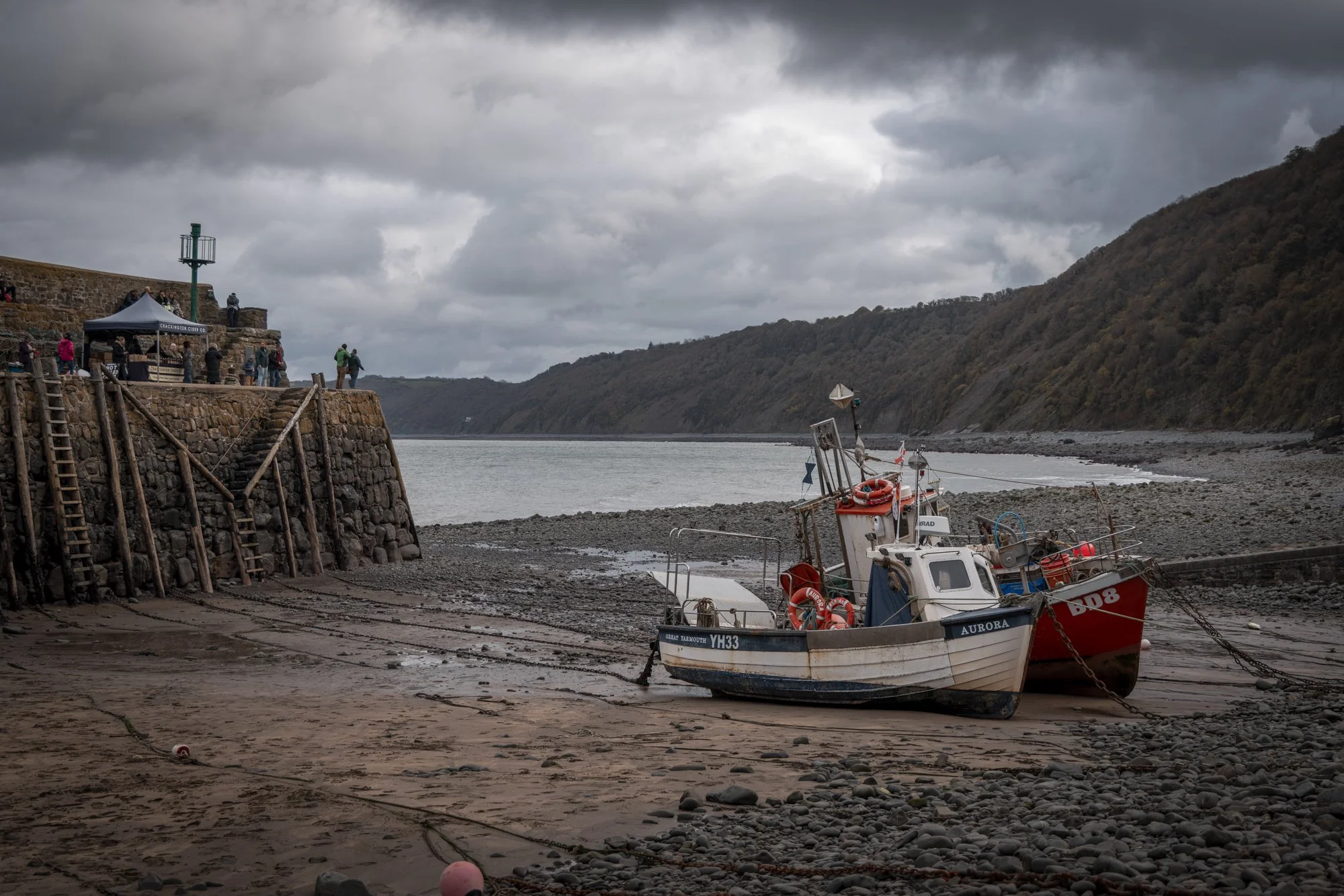 Flax_landtosea_CLOVELLY © EMILIE SANDY 2026-9362.jpg