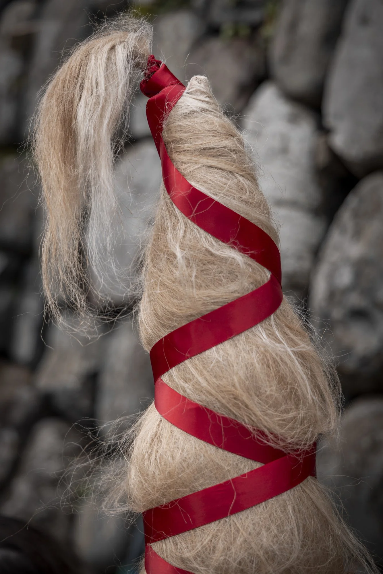 Flax_landtosea_CLOVELLY © EMILIE SANDY 2026-9393.jpg