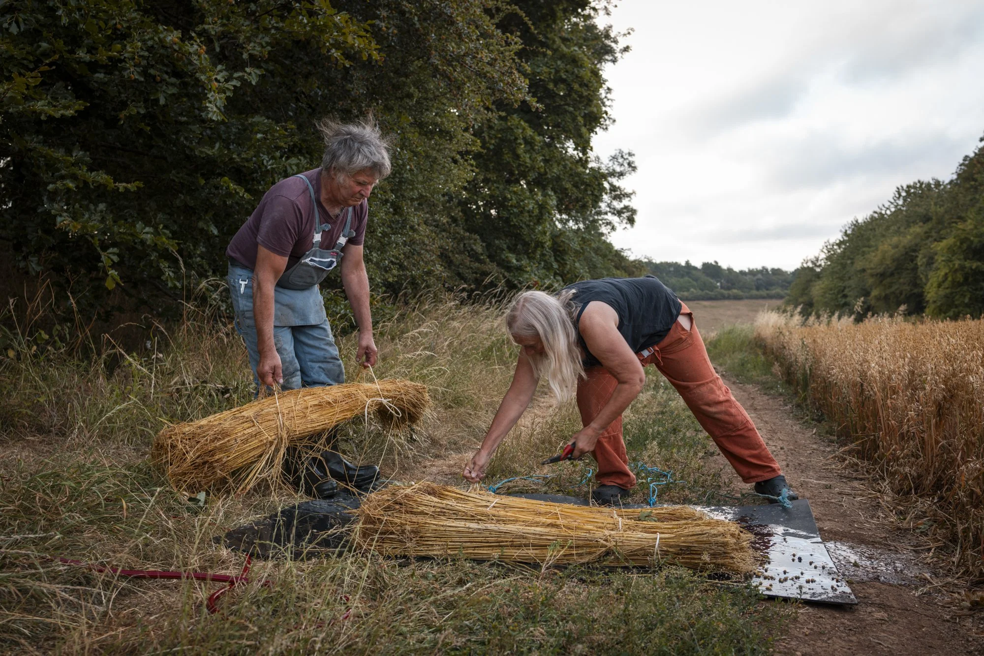 Flax_landtosea_RETTING © EMILIE SANDY 2026-2843.jpg