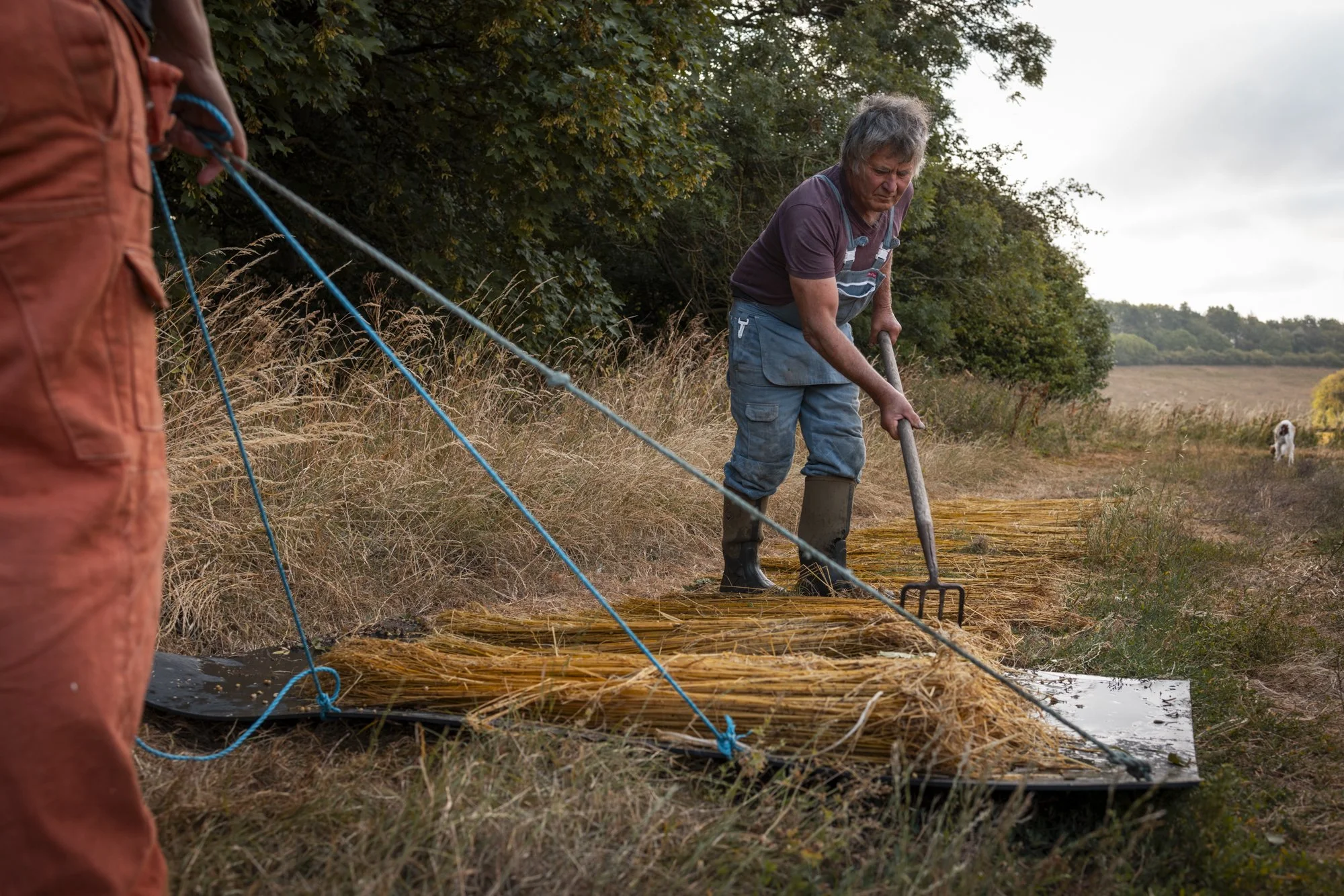 Flax_landtosea_RETTING © EMILIE SANDY 2026-2845.jpg