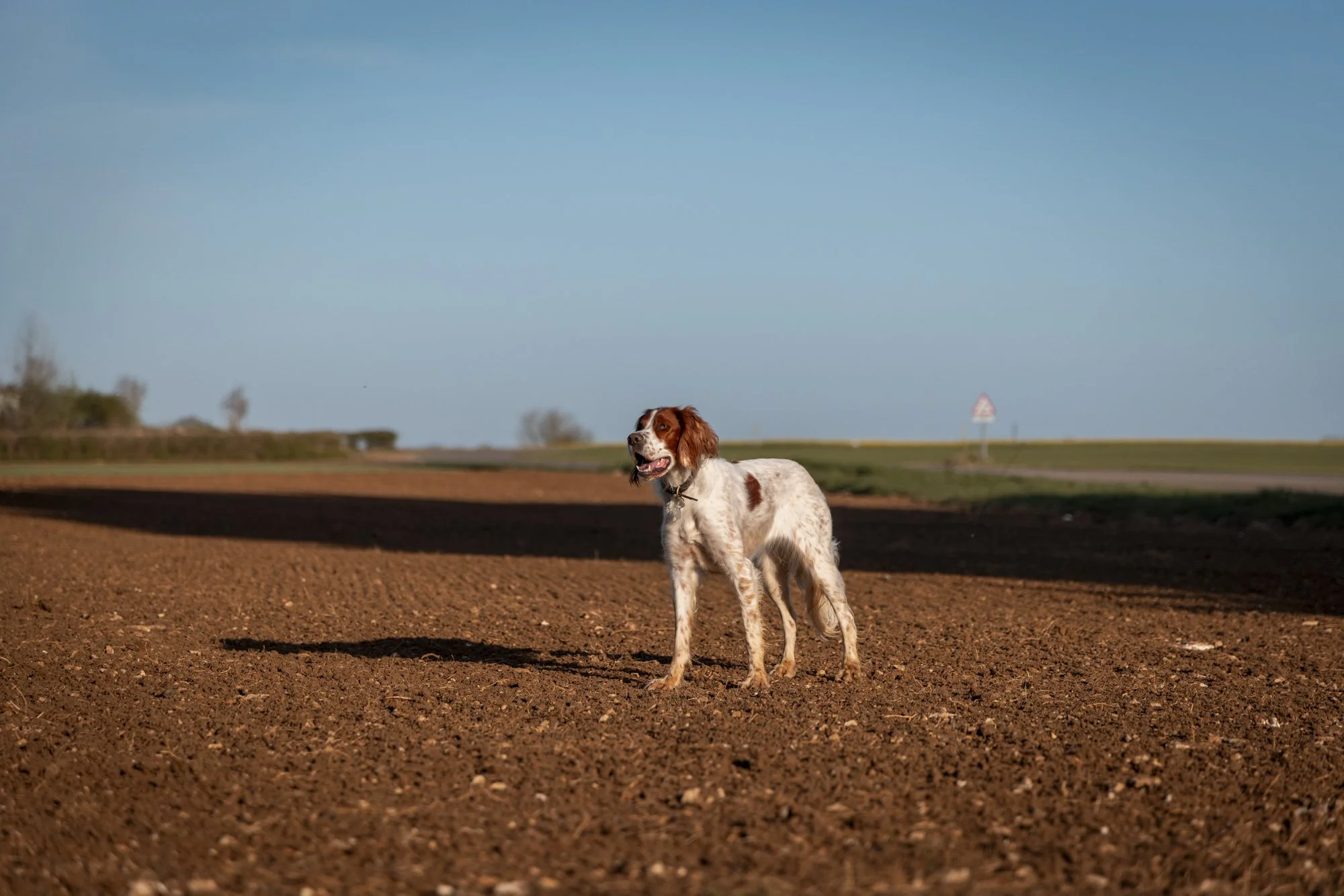 Flax_landtosea_SOWING © EMILIE SANDY 2026-0447.jpg