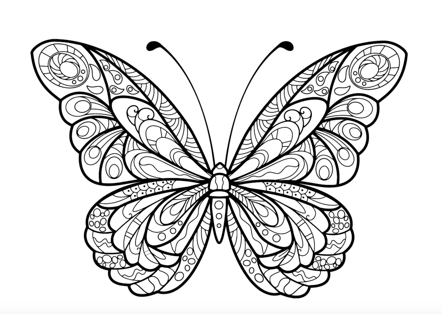 Butterflies Colouring Book for Both Adults and Kids   Downloadable ...