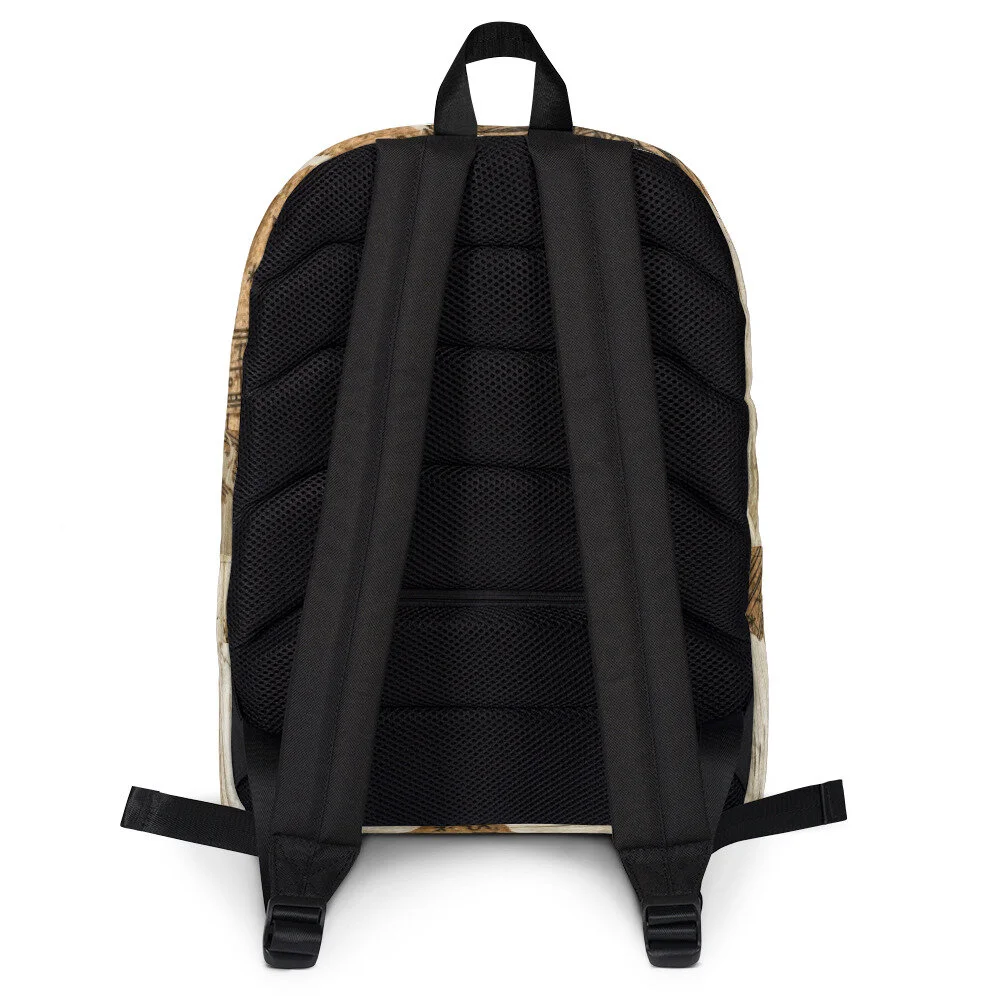 world traveller backpack