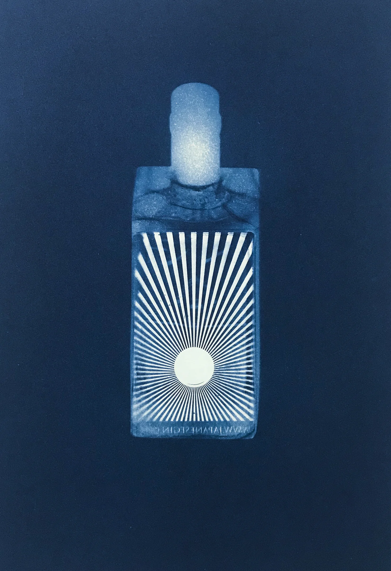 Gin8.jpg