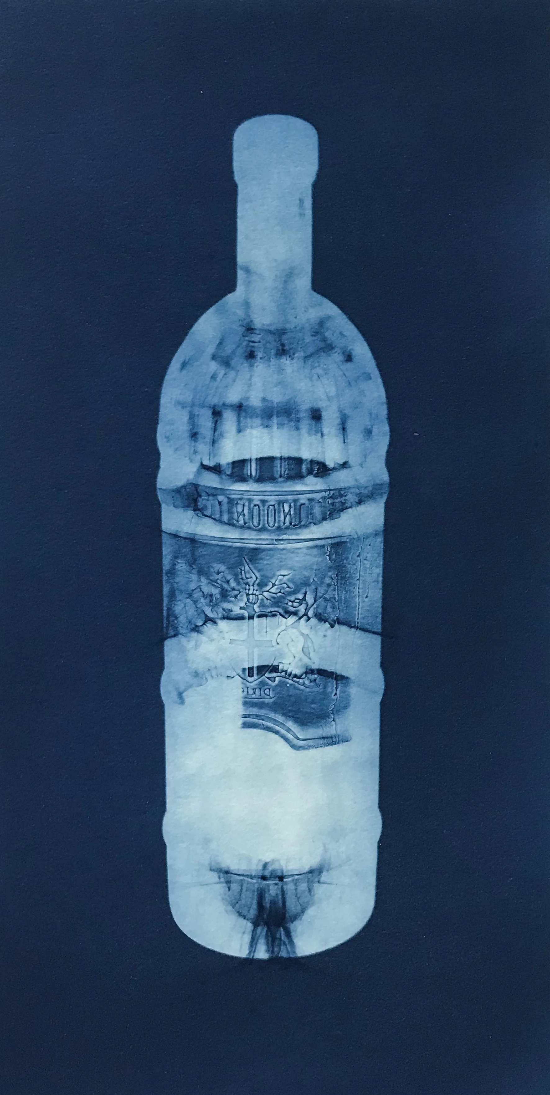 Gin15.jpg