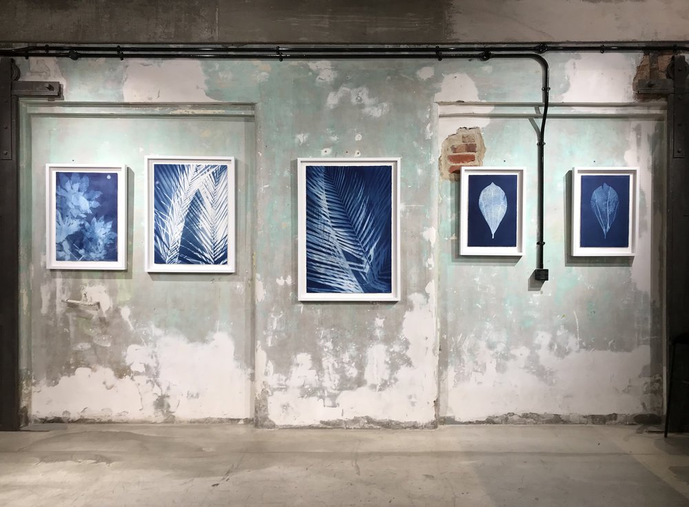 Solo Show, Department Store, Brixton