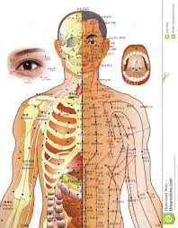 acupuncture.jpg