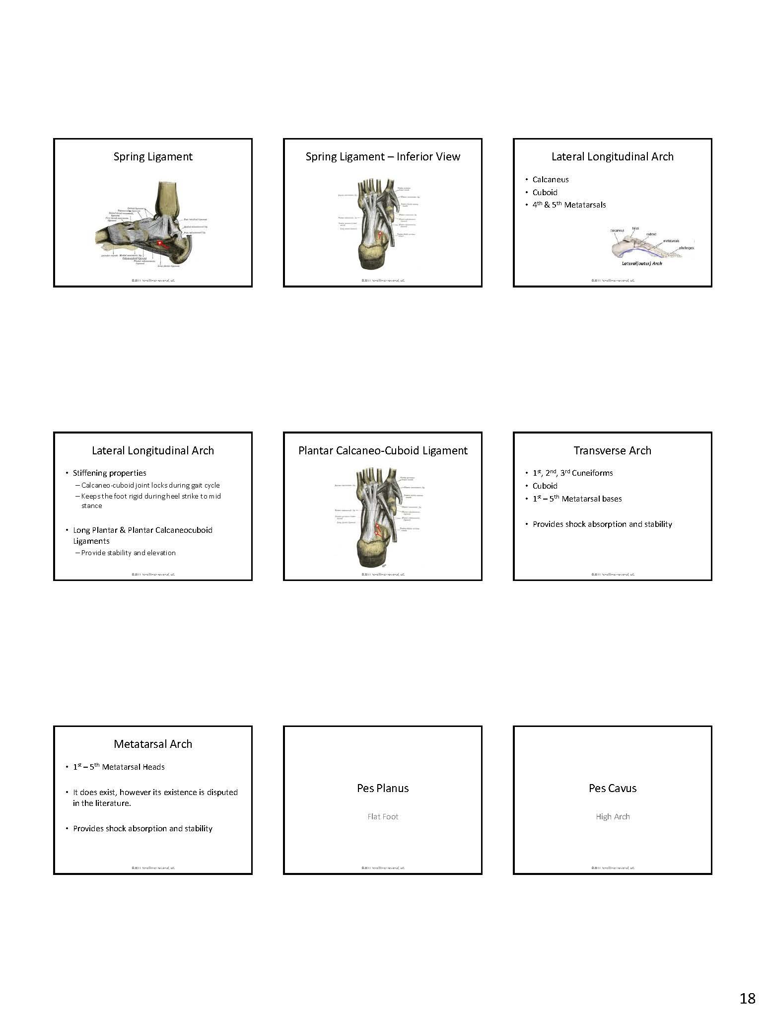 Fenell - NOTES-PAGES-Fenell-Extremity-Adjusting-Hand&Foot_Page_19.jpg