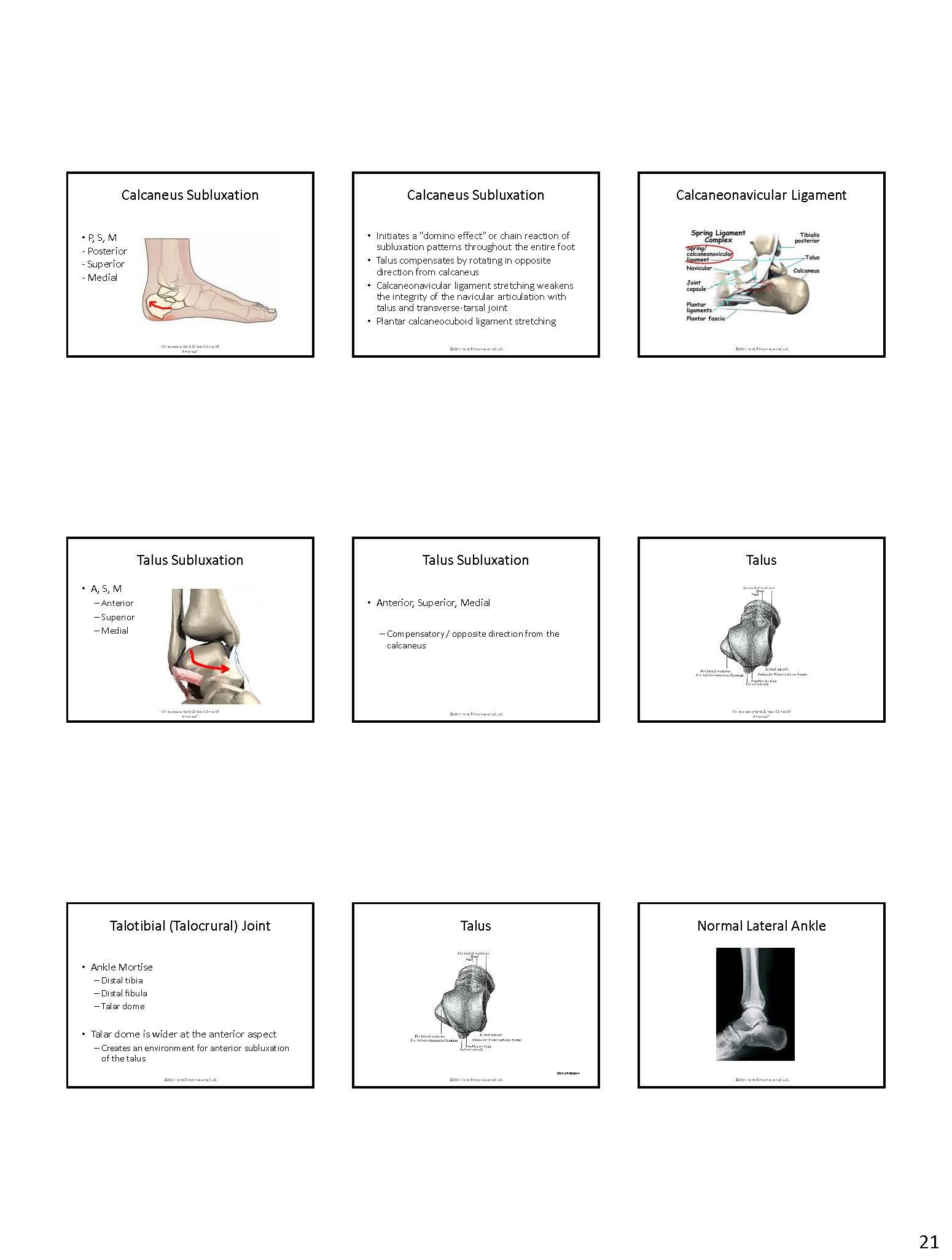 Fenell - NOTES-PAGES-Fenell-Extremity-Adjusting-Hand&Foot_Page_22.jpg