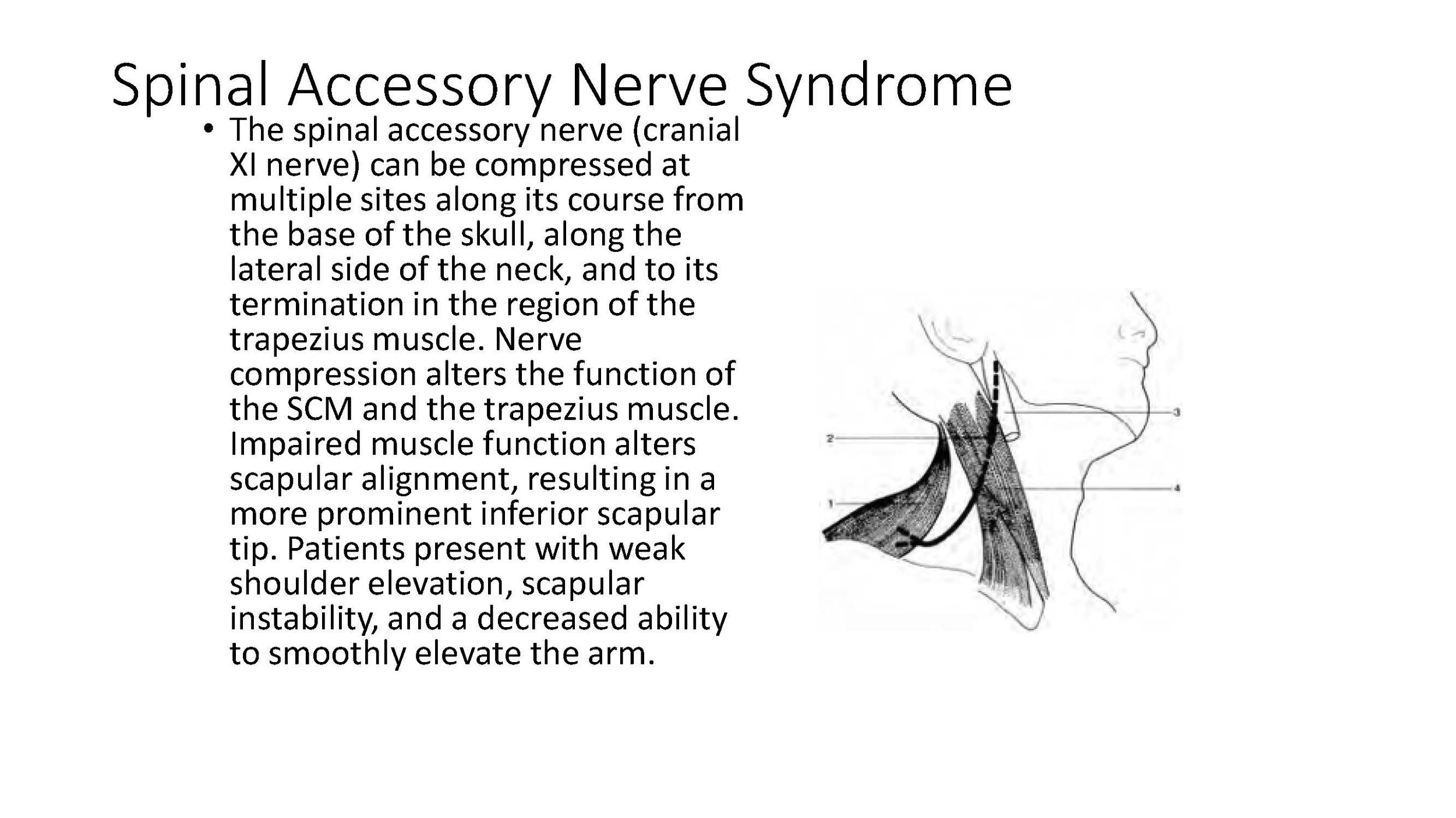 Nerve Entrapment Complete Notes-_Page_138.jpg