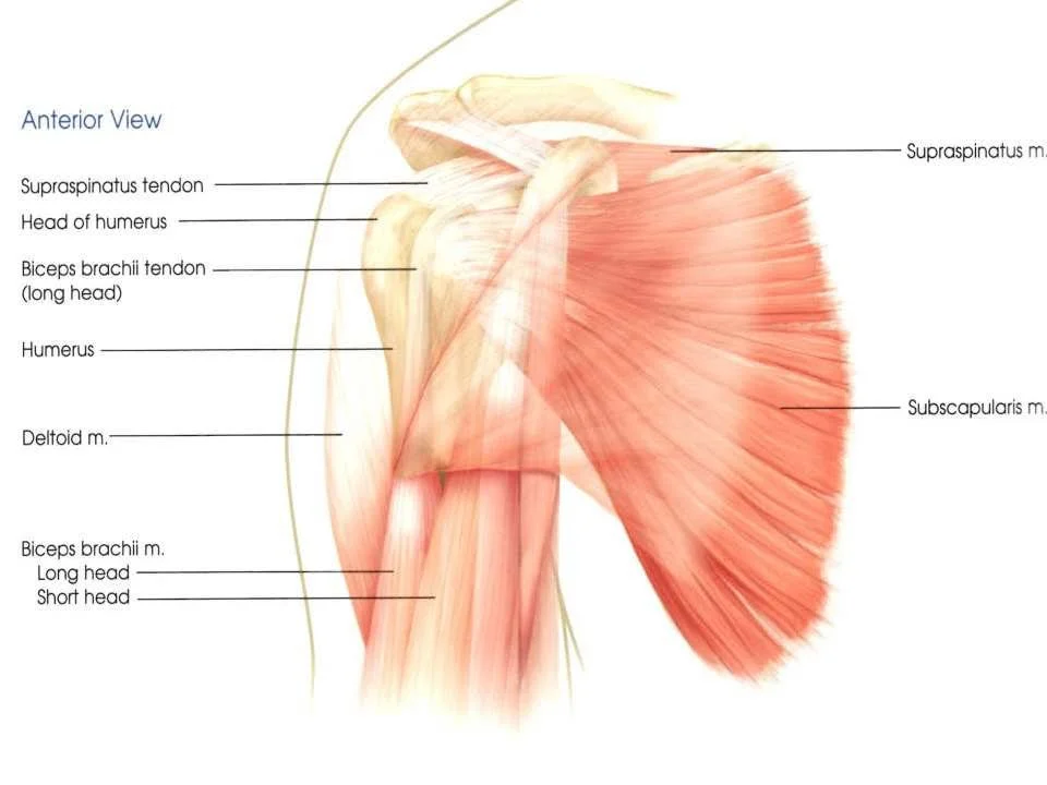 Morgan - Sports Chiropractic - treating athletes on and off the field printer friendly - Part 1_Page_207.jpg