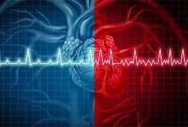 How to use Heart Rate and Neurology to Assess Adjustment Needs