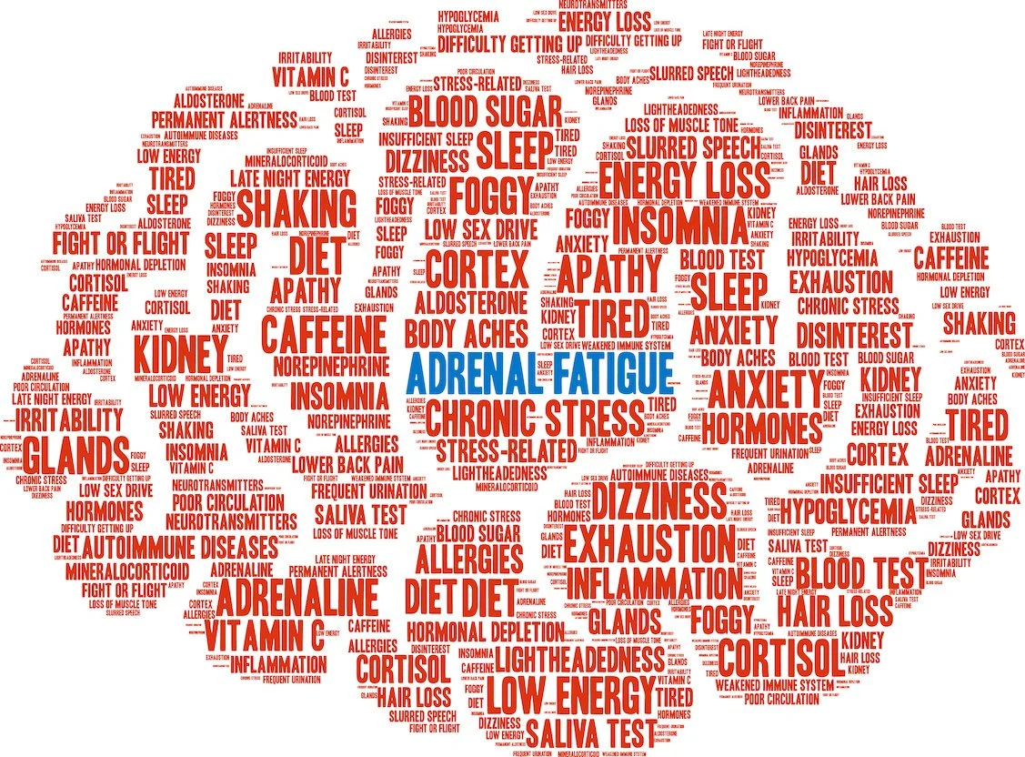 Chiropractic Care &amp; Adrenal Fatigue - 4 hours