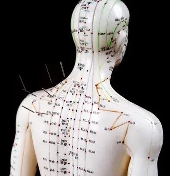 Beyond Adjustments:   Harnessing Acupuncture for Movement, Function &amp; Pain Relief