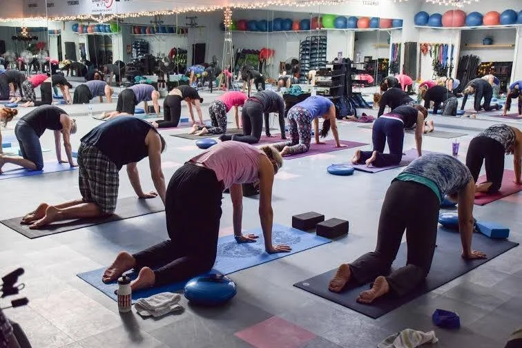 Yoga Alignment Workshop Part II