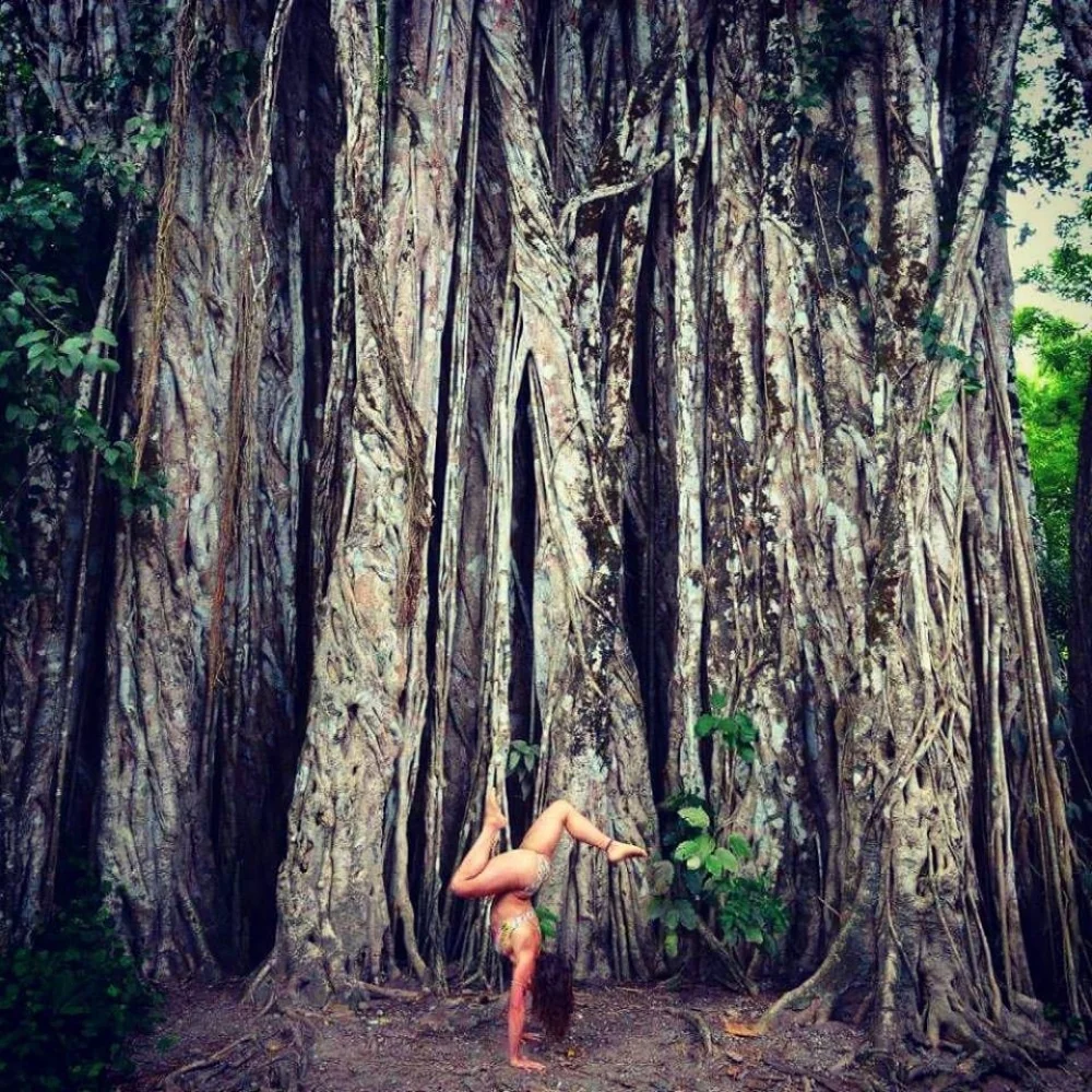 Taoist Vinyasa Yoga: Learning the Microcosmic Orbit