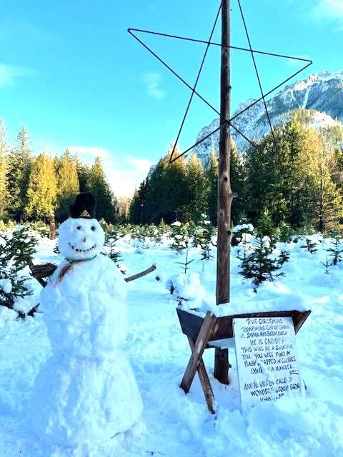 Open today for U-Cut and Pre-Cut Trees!