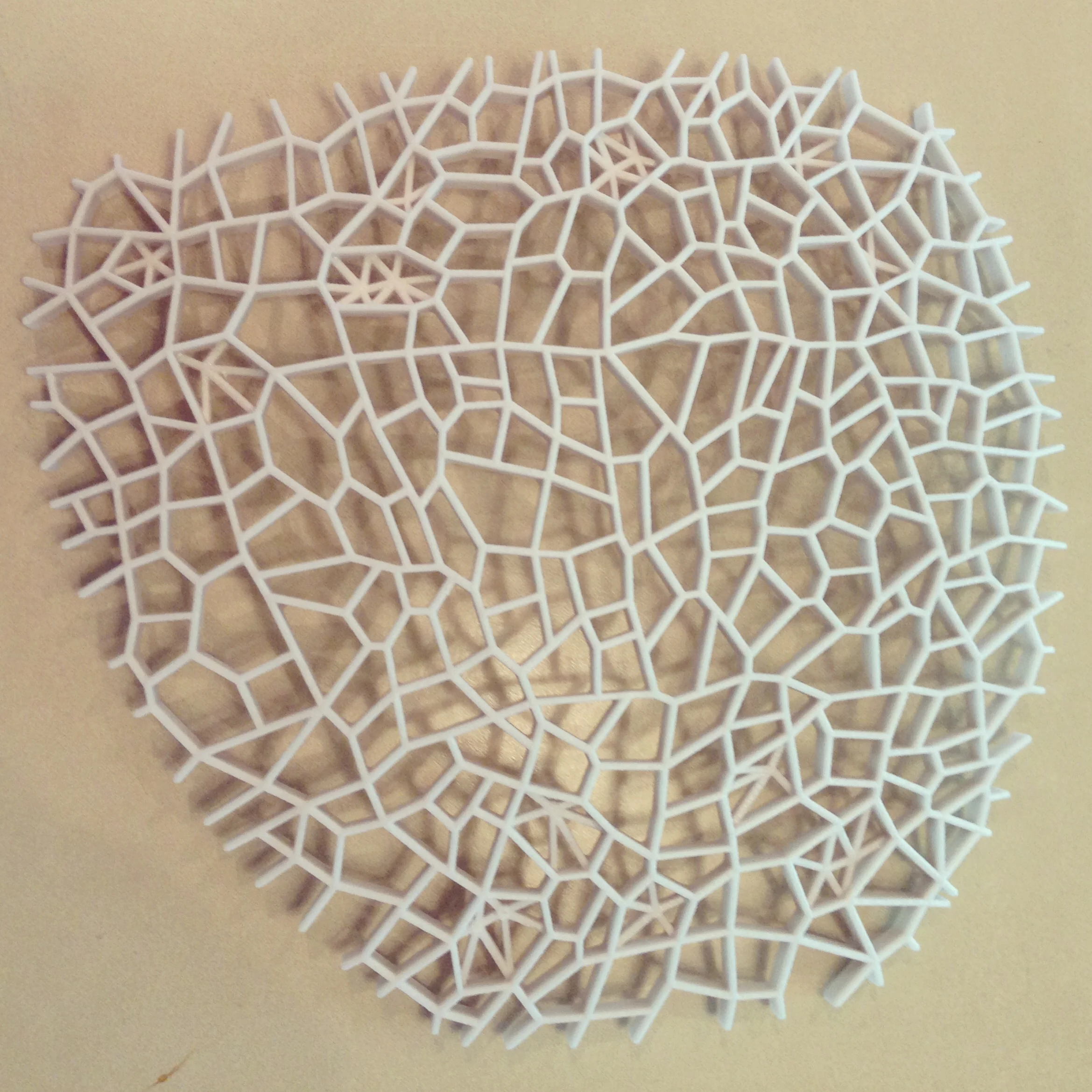 3D Print of Leaf Canopy