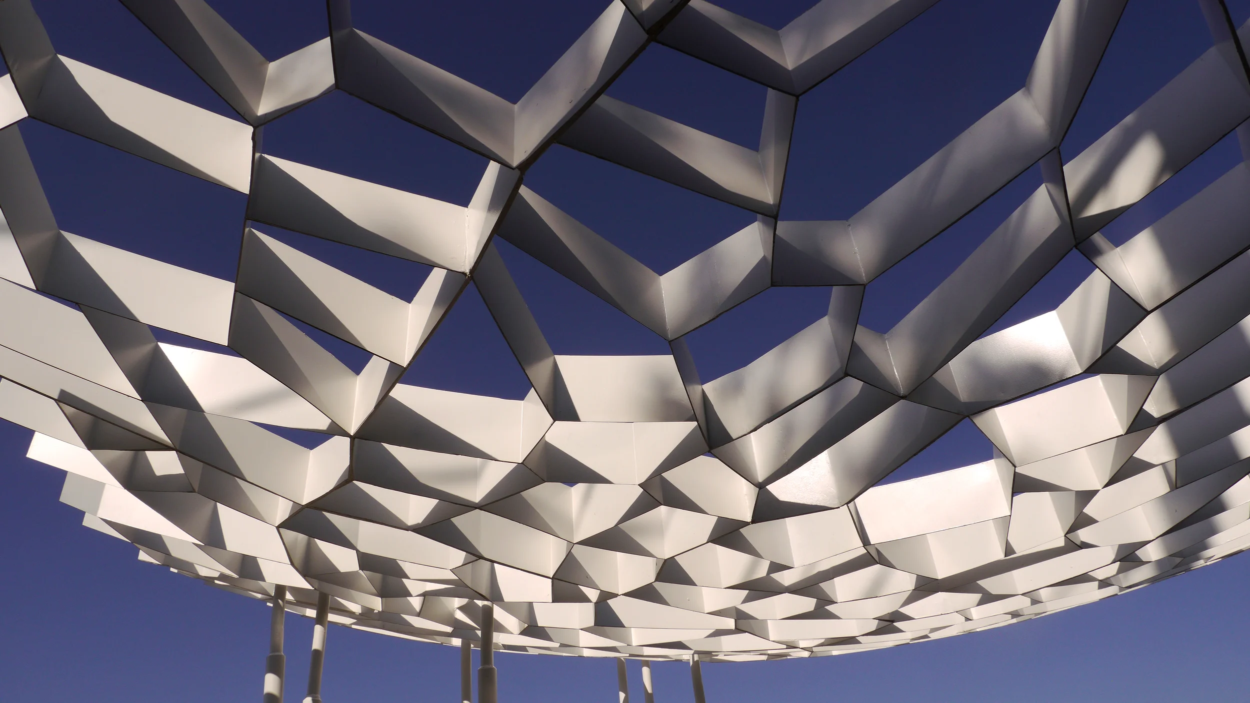 LLL_Leaf_Structure03.jpg
