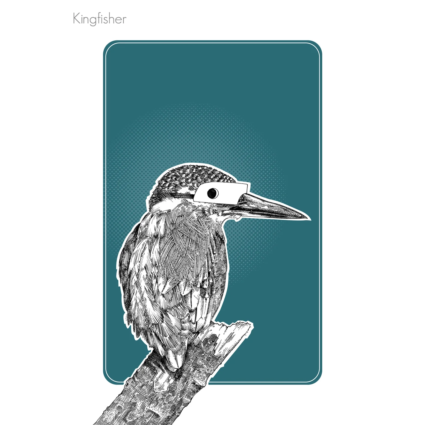 Kingfisher shop square.jpg
