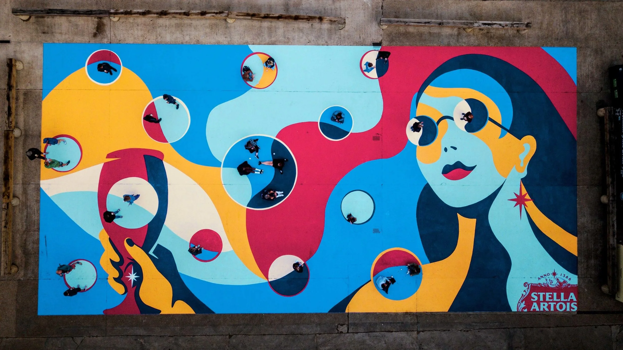 sheherd fariey stella.jpeg