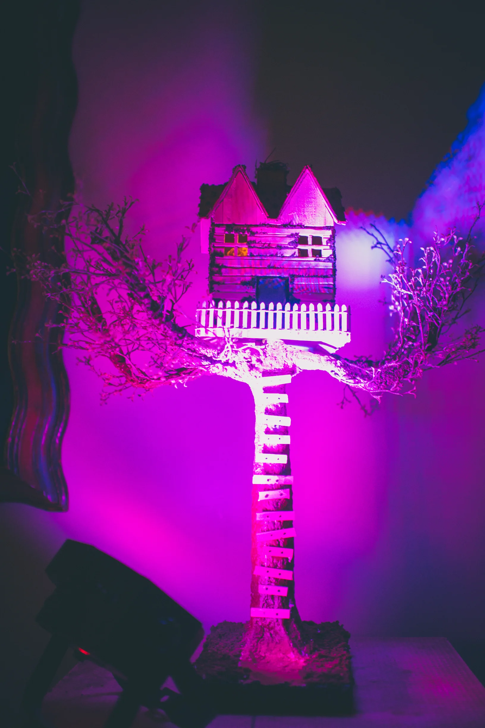 WES FEST 2015 PHOTOS CL SKD (7 of 216).jpg