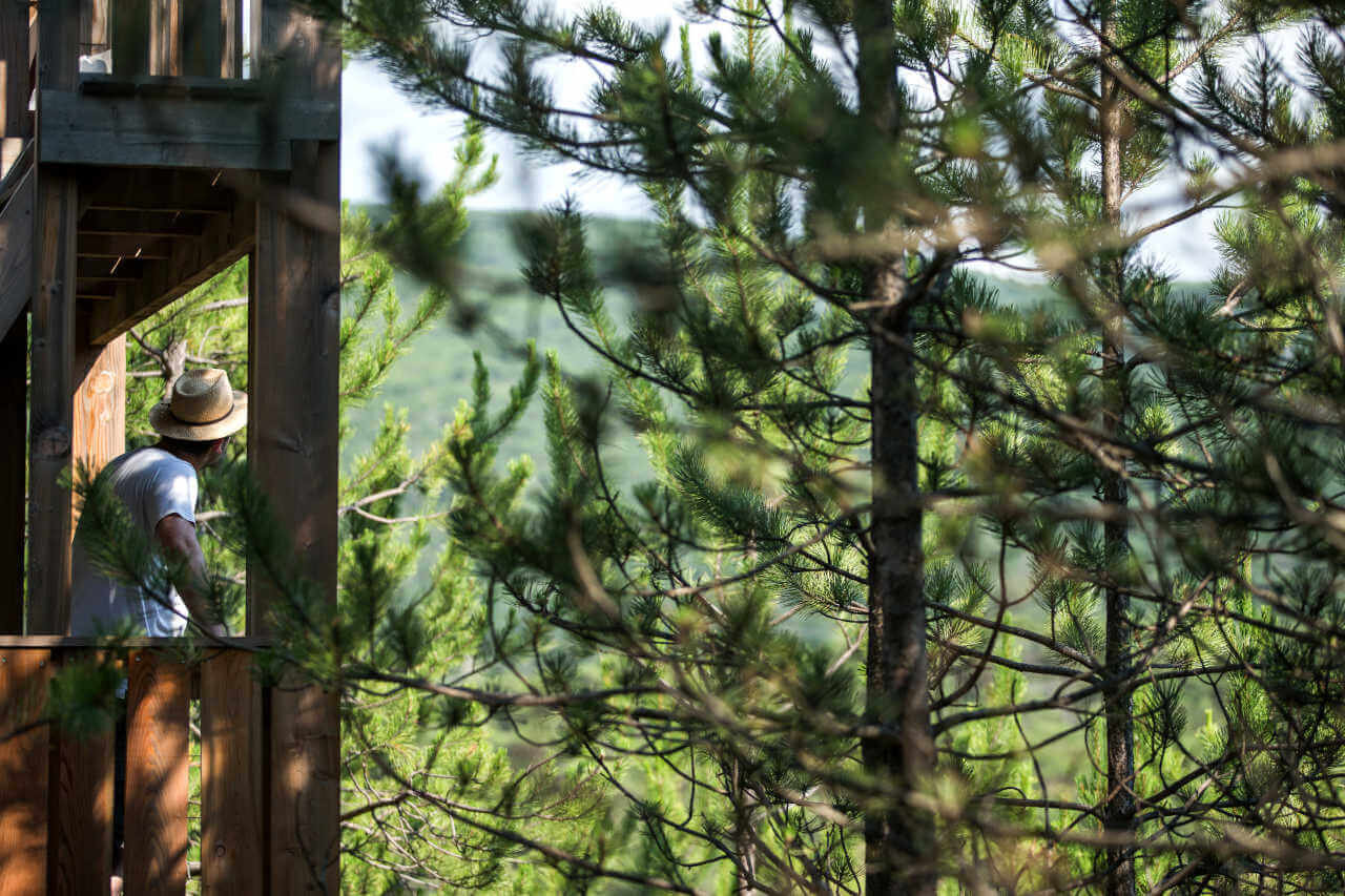 Cabane Persée