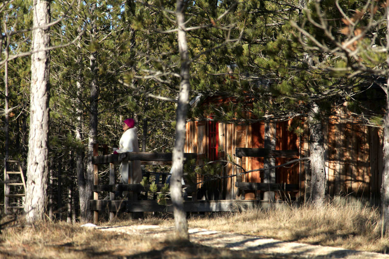 Cabane Céphée