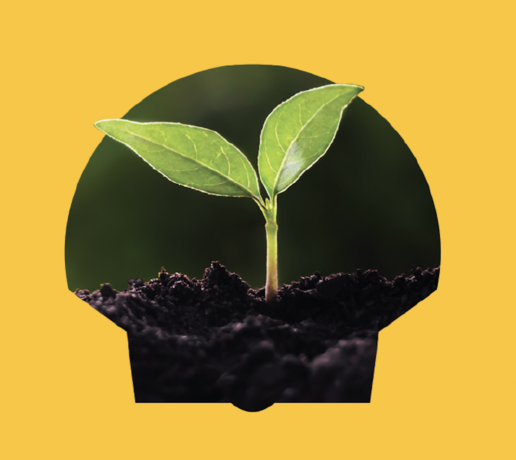 shell ad library webpage cover.png
