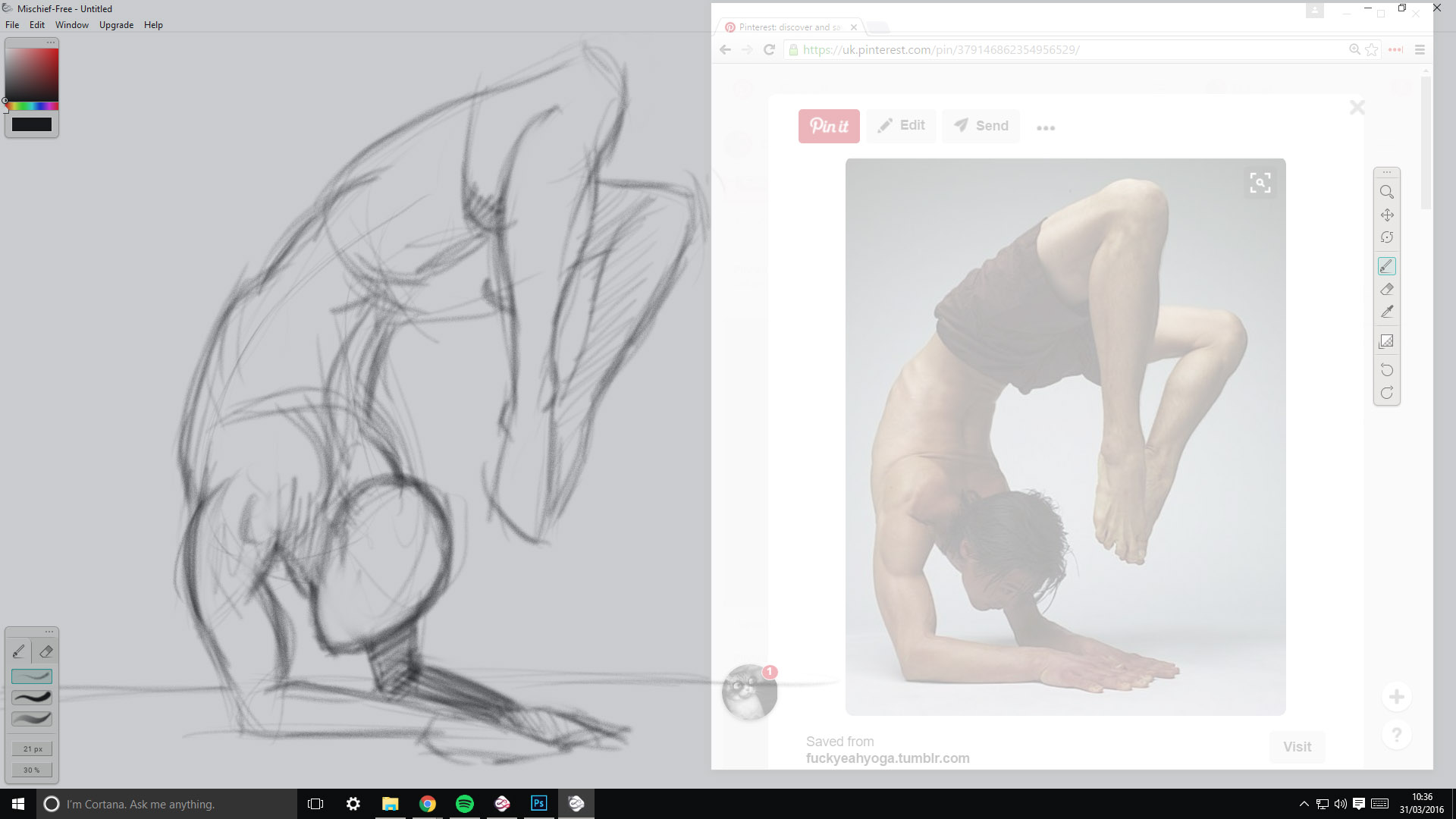 An example of using the window opacity feature for drawing from reference.