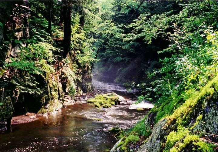 stream - Copy.jpg